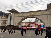 合作院校