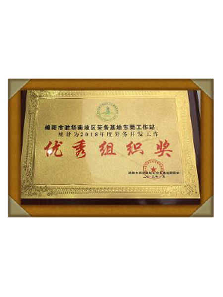 优秀组织奖